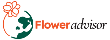 f3c5292cec0e05e4272d9bf9146f390d366481d0 Lowongan Admin Finance Accounting di Jakarta Timur