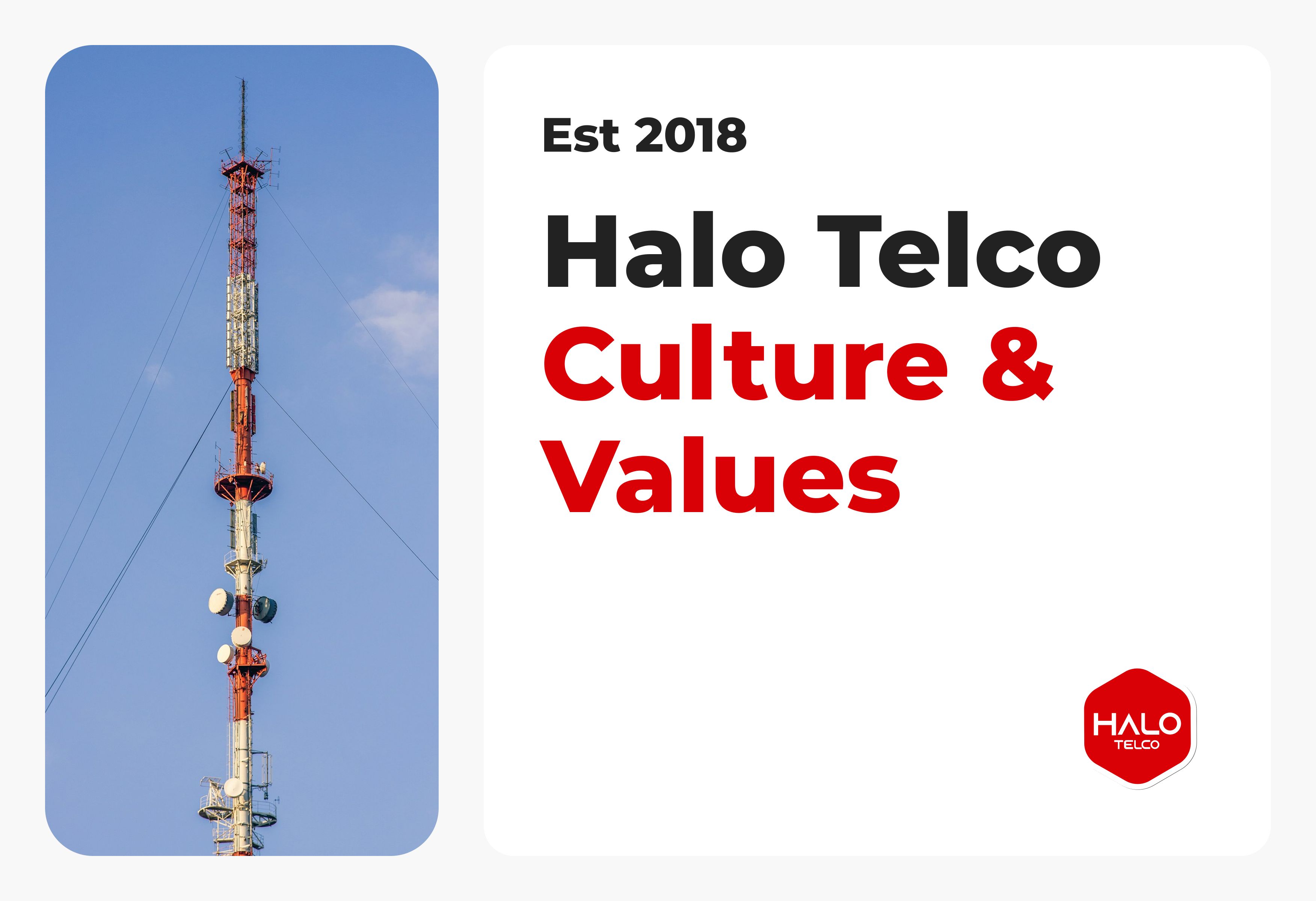 Company's culture and value information