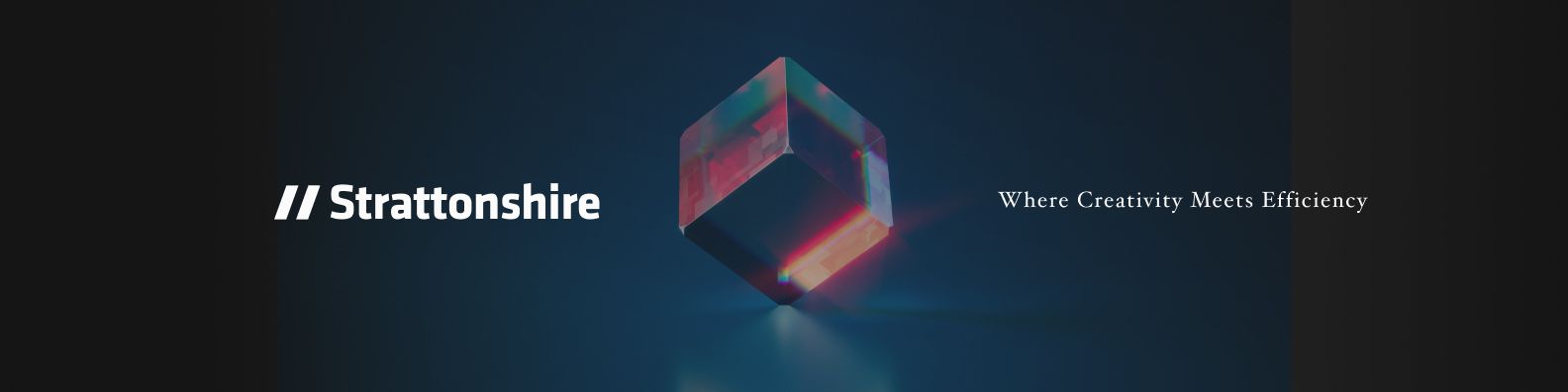 Company's culture and value information