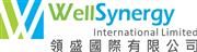 Well Synergy International Limited's logo