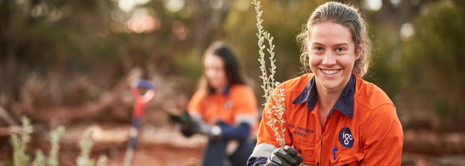 Company's culture and value information