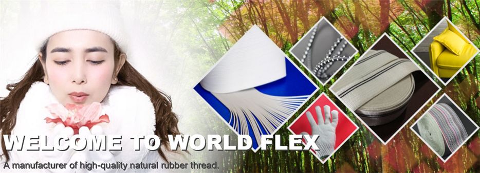 World Flex Public Company Limited's banner