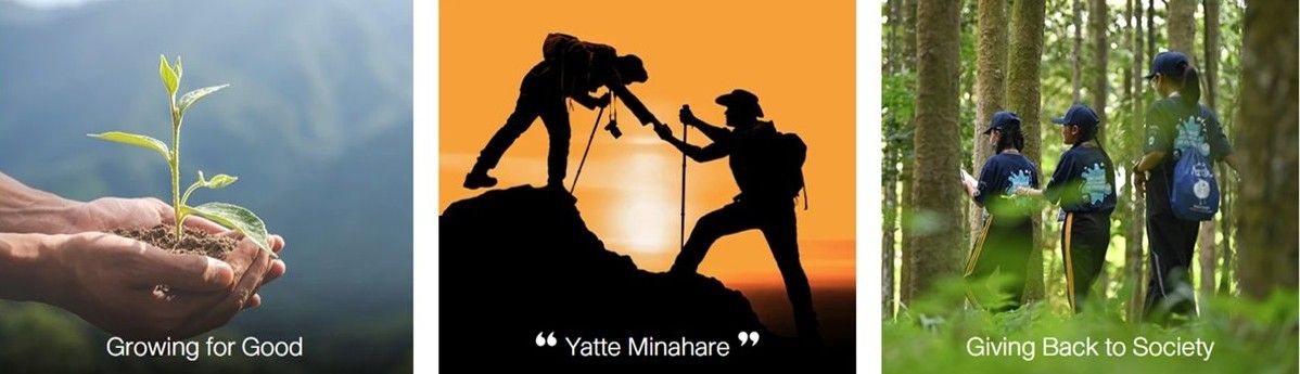 Company's culture and value information