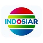 PT Indosiar Visual Mandiri 