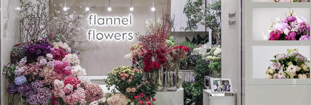 flannel flowers's banner