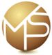 VMS Securities Limited's logo