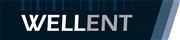 Wellent System Consultants Limited's logo