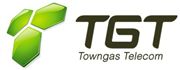 Towngas Telecommunications Company Limited's logo