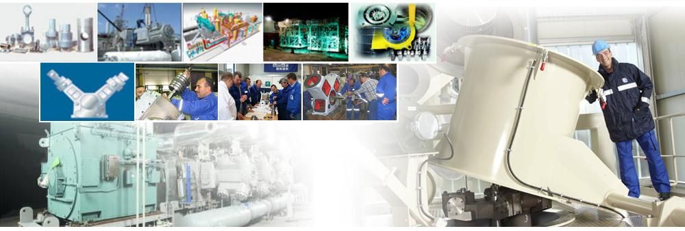 Neuman & Esser South East Asia Ltd.'s banner