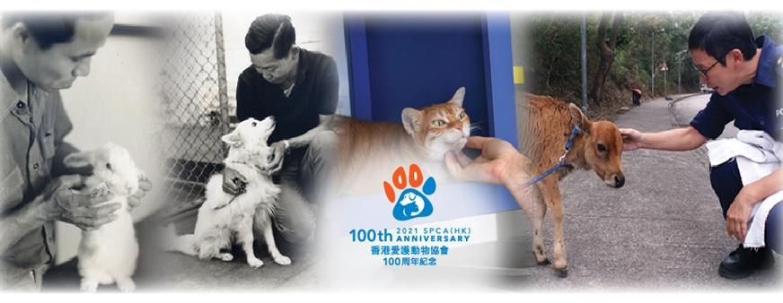 SPCA (Hong Kong)'s banner
