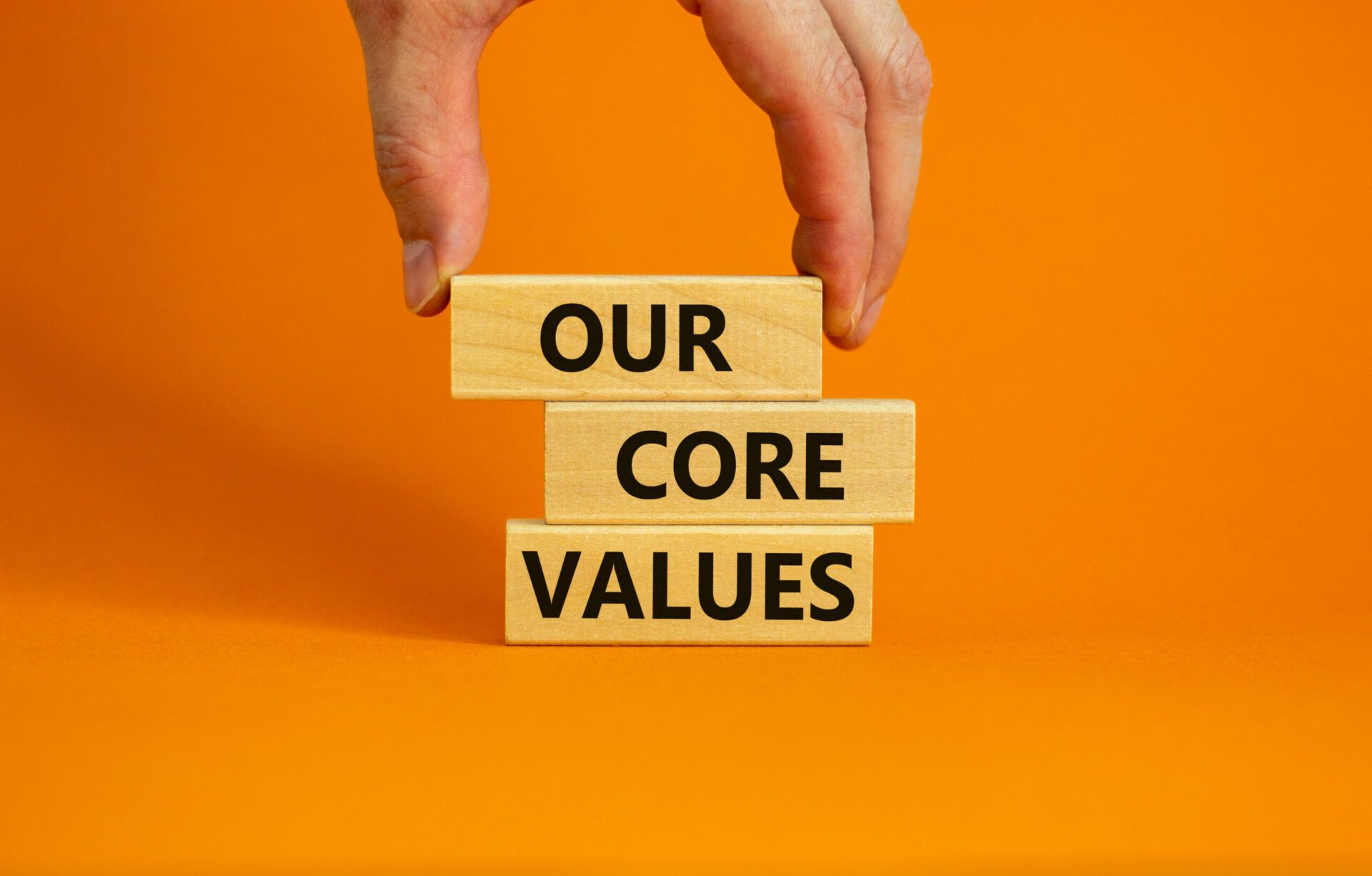 Company's culture and value information
