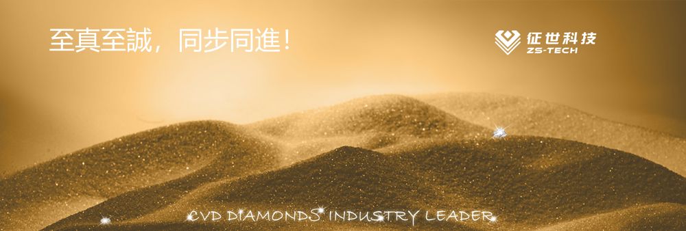 ZS Development (Hong Kong) Limited's banner