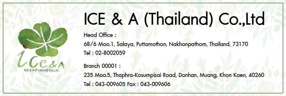 ICE&A (Thailand) Co., Ltd.'s banner
