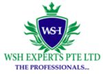 jobs in WSH Experts Pte Ltd
