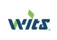 Wistron Information Technology and Services Limited's logo