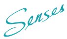 Senses Manpower Limited's logo