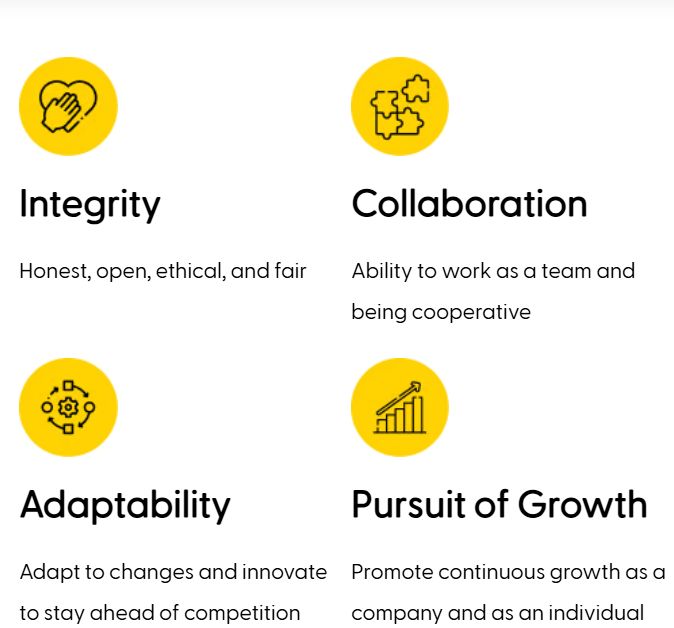 Company's culture and value information