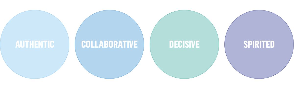 Company's culture and value information