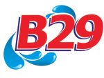 Sinar Antjol Group (B29) 