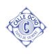 Pirata LC Limited's logo