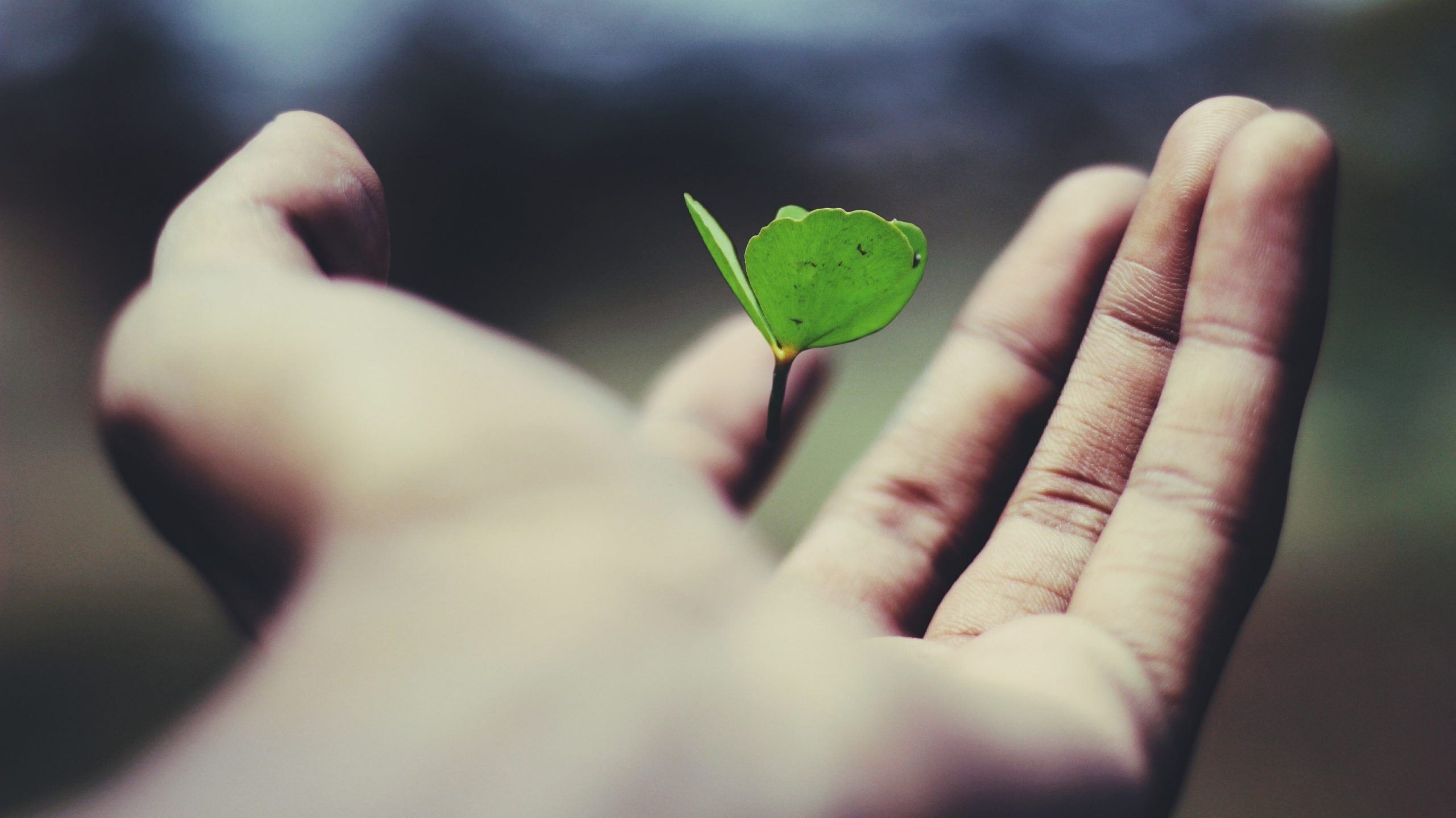 Company's culture and value information