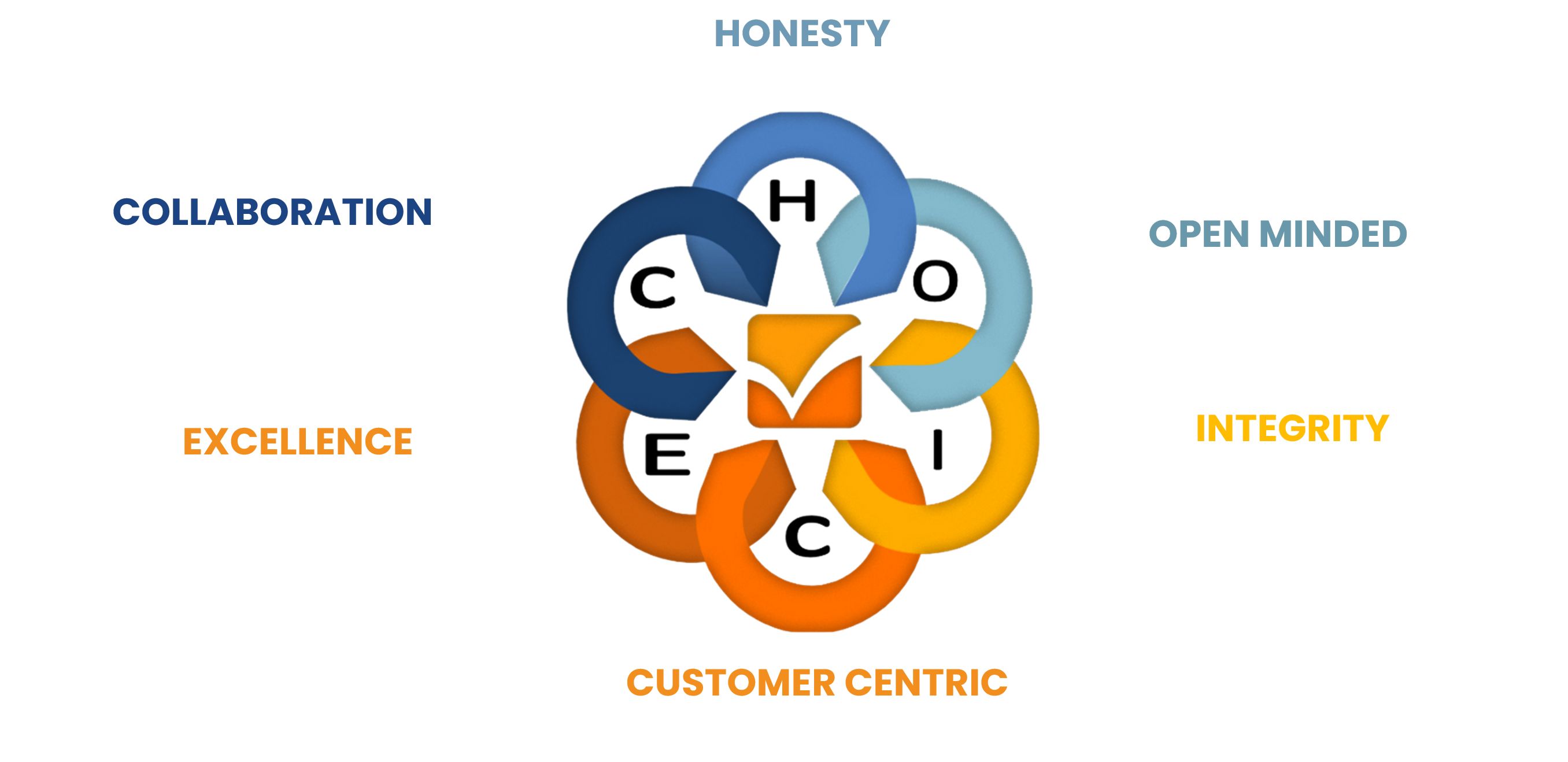 Company's culture and value information