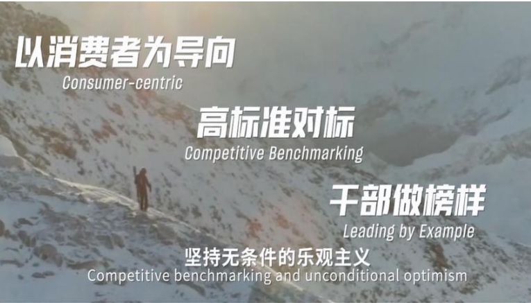 Company's culture and value information