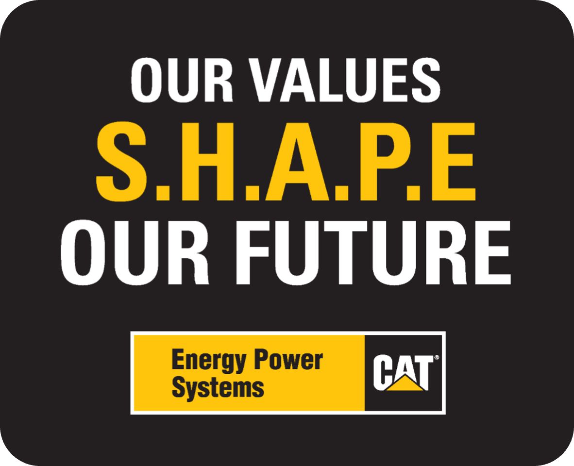 Company's culture and value information