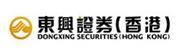Dongxing Securities (Hong Kong) Financial Holdings Limited's logo