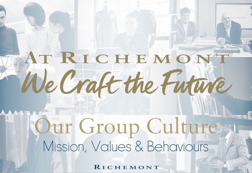 Company's culture and value information