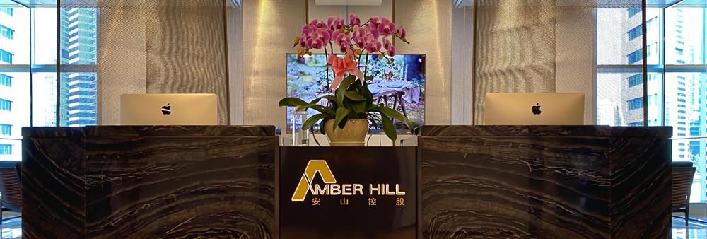 Amber Hill Financial Services Group Limited's banner