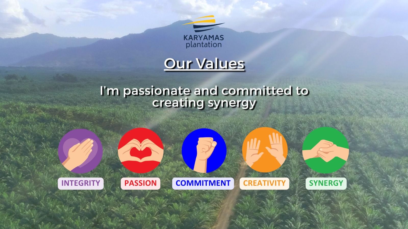 Company's culture and value information