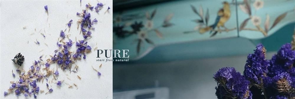 Pure - Start From Natural Company Limited's banner