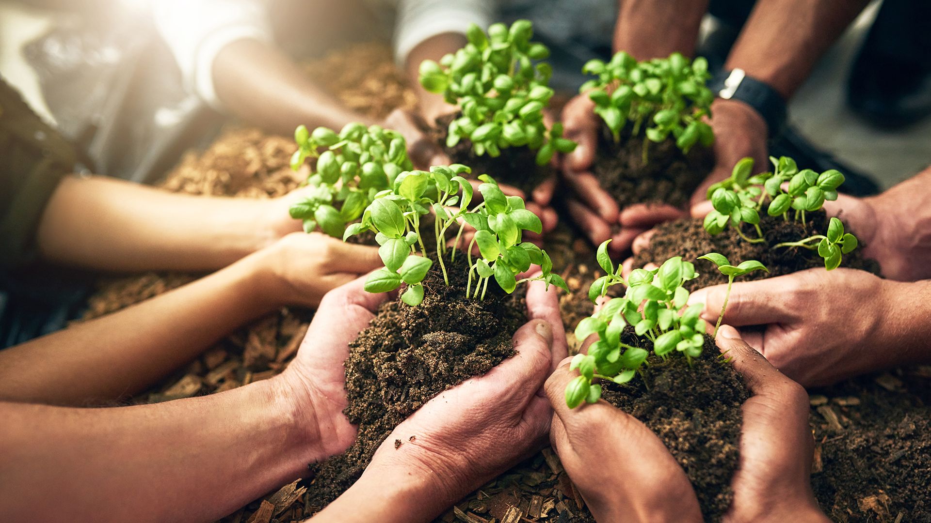 Featured banner image