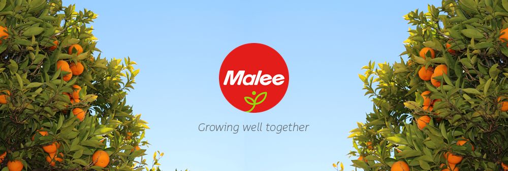 Malee International Co., Ltd.'s banner