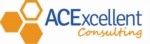 ACExcellent Consulting Pte Ltd logo