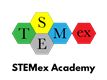 STEMex Limited's logo