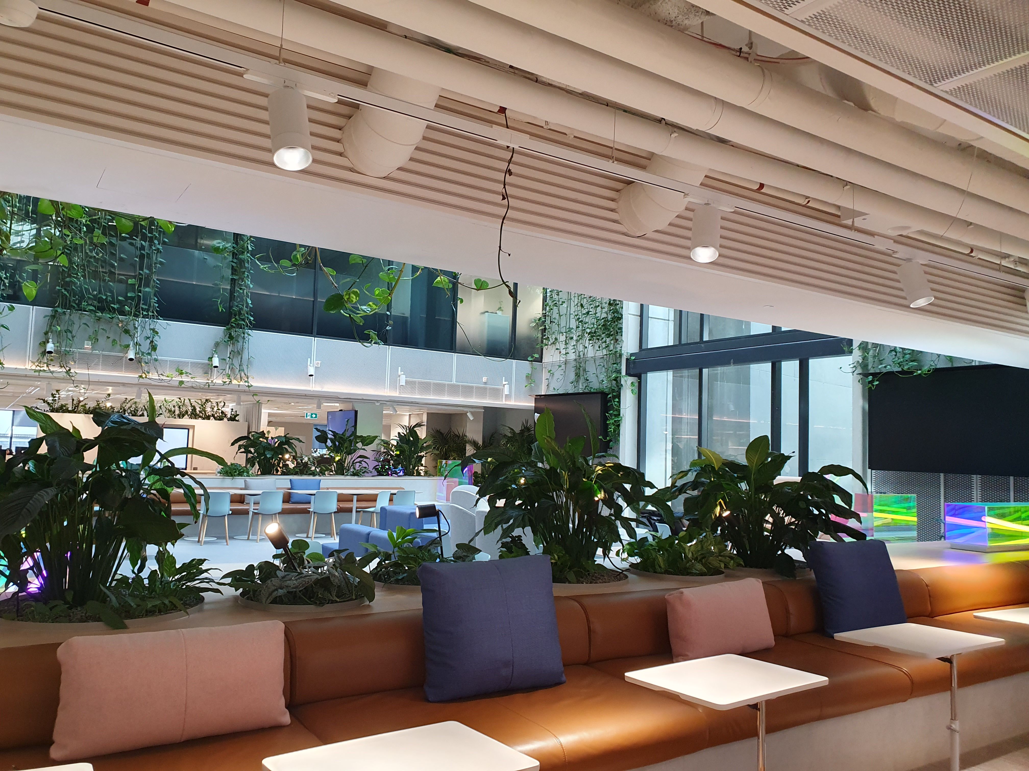 Company's culture and value information