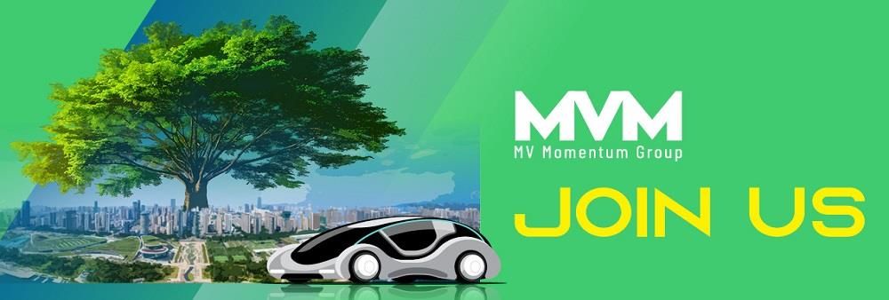 MV Momentum Group Limited's banner