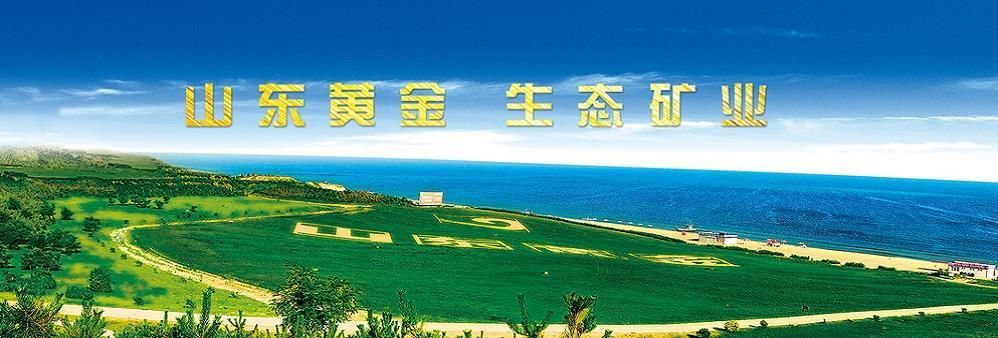 Shandong Gold Financial Holdings Group (Hongkong) Co., Limited's banner