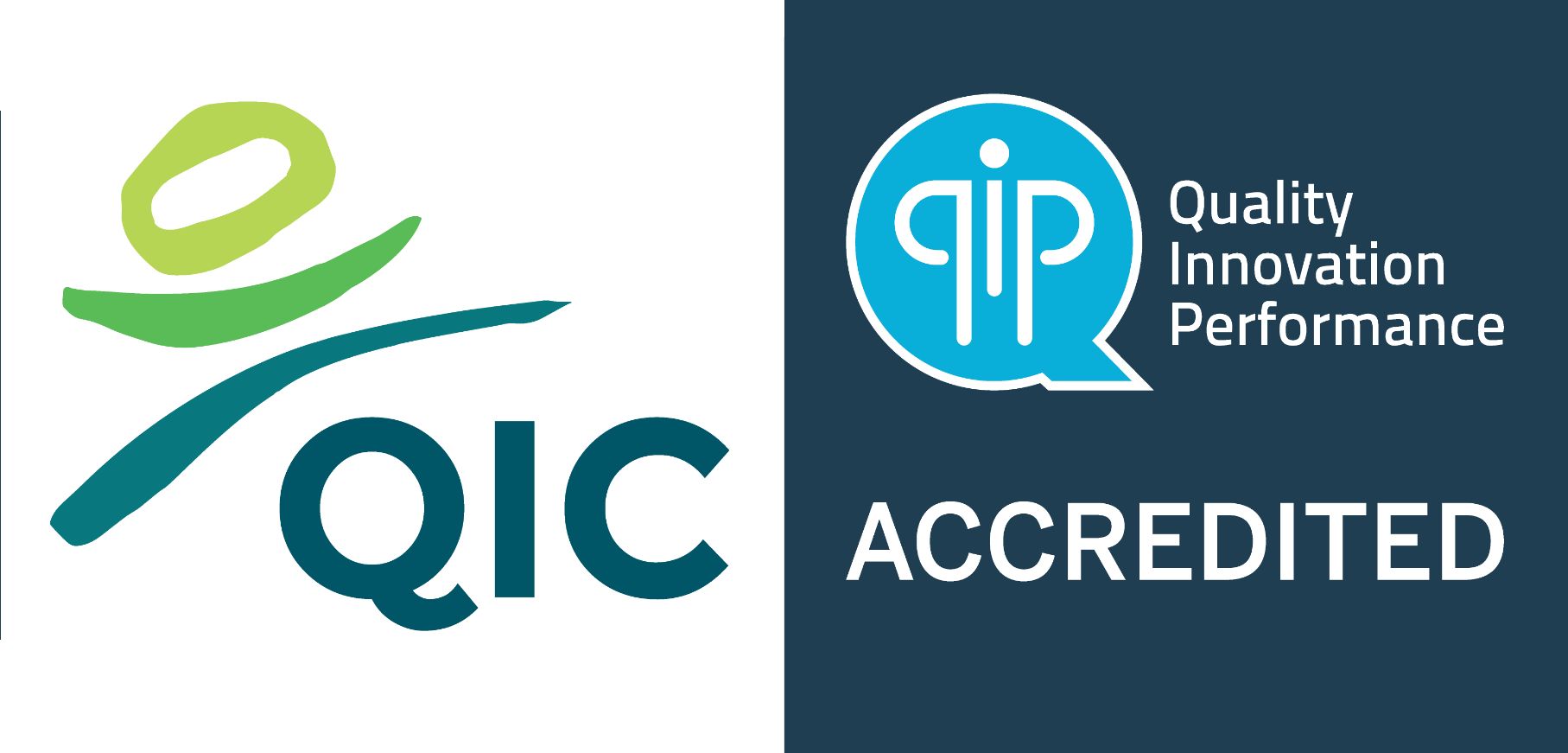 Quality Improvement Council (QIC) 2008