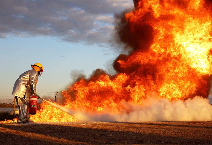 Company's culture and value information