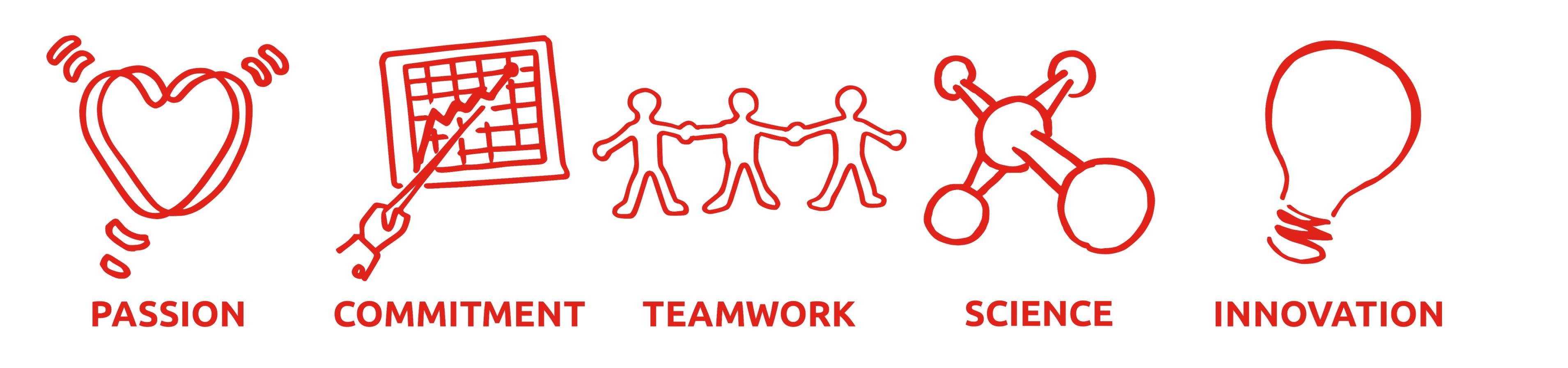 Company's culture and value information
