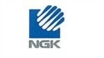 NGK ELECTRONICS DEVICES (M) SDN. BHD.