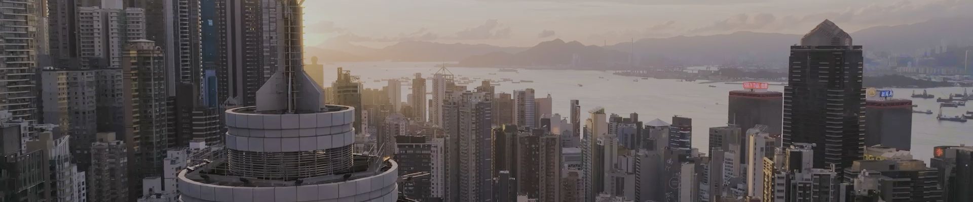 Company's culture and value information