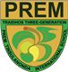 Prem Tinsulanonda International School's logo