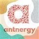 Antnergy Social Resources's logo