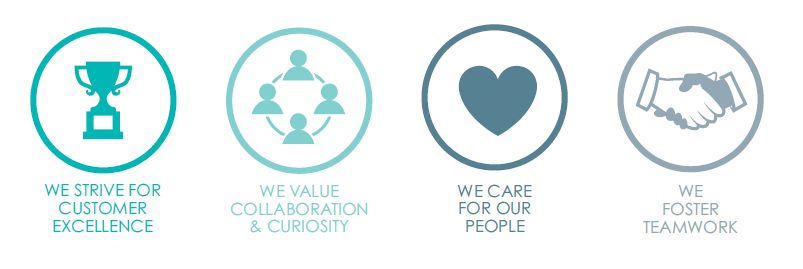 Company's culture and value information