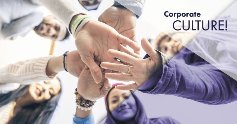 Company's culture and value information