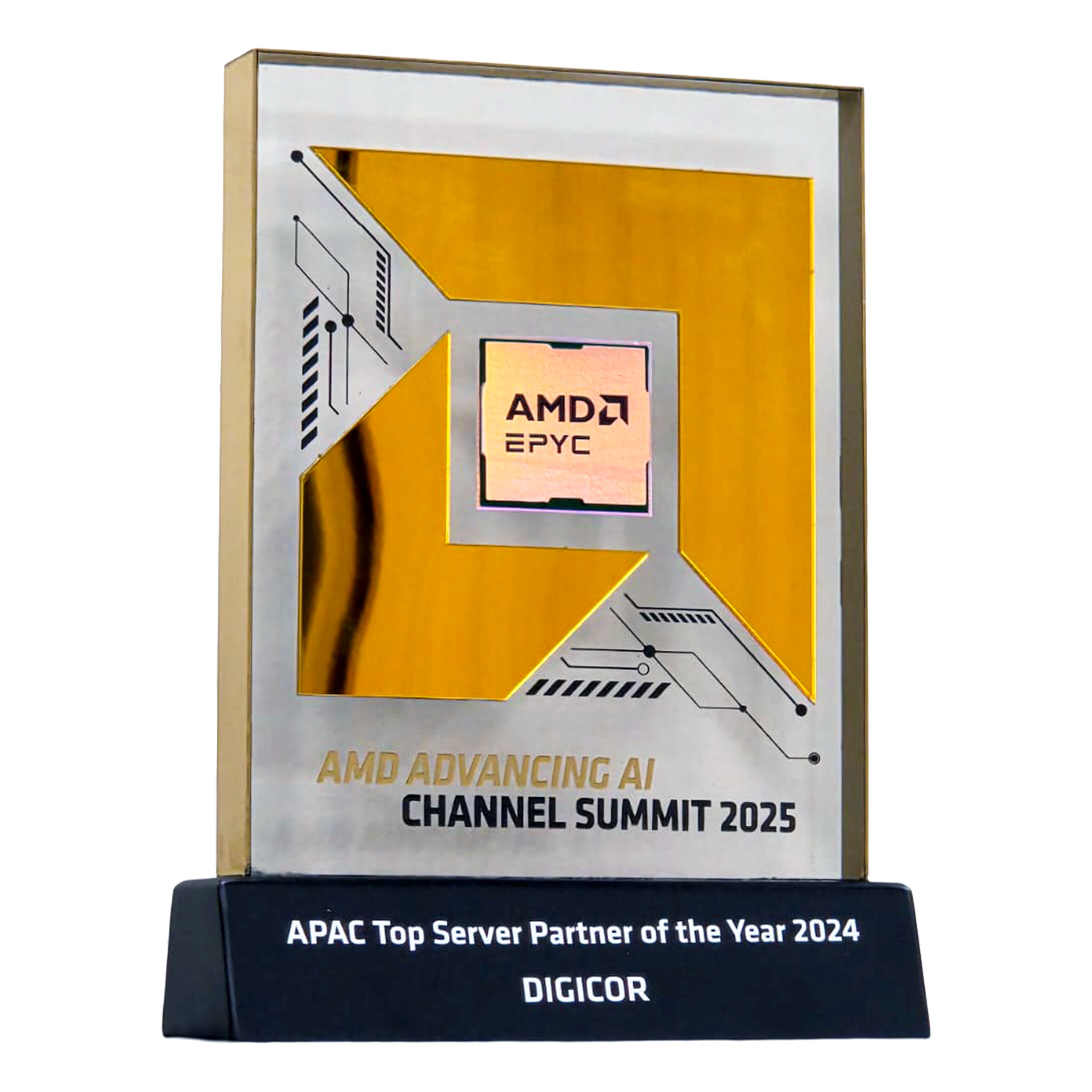 APAC Top Server Partner of the Year 2024 2024